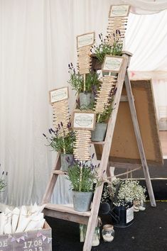 an old ladder is used as a display for lavenders and other flowers in pots