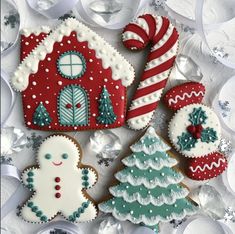 decorated christmas cookies and candy canes on a plate