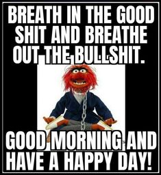 Muppet Animal, Animal Muppets, Animal Muppet, Special Text, African Textile, Have A Happy Day, Funny Cartoon Quotes, Morning Humor, Cartoon Quotes