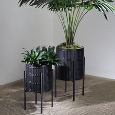 two black planters sitting on top of a rug