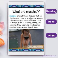 an ipad with the text, what are muscles? on it next to some fruits and vegetables