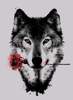 a drawing of a wolf with a rose in its mouth