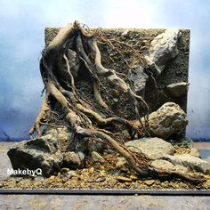 a rock with roots growing out of it on top of some rocks and gravel in front of a blue wall