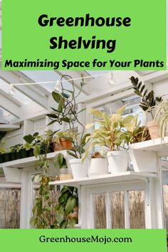 greenhouse shelving with potted plants and text overlay that reads, green house shelfing maximum space for your plants