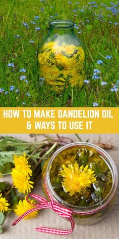 Dandelion Oil, Herbal Medicine Recipes, Herbal Remedies Recipes, Skincare Secrets, Magia Das Ervas, Herbal Tinctures, Natural Healing Remedies, Healing Plants