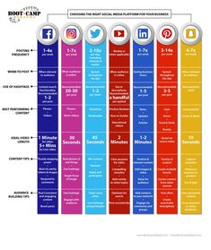 the top social media platforms in 2013 infographical graphic by hotlamp com