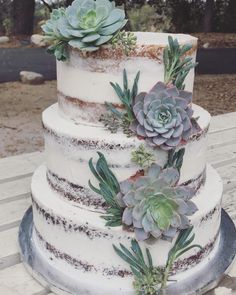 a three tiered cake with succulents on top