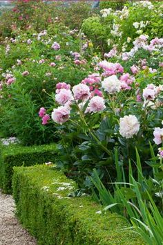 a garden filled with lots of pink and white flowers