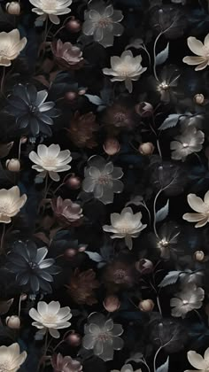 an image of flowers that are in the dark