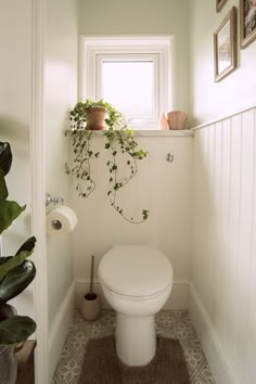 a white toilet sitting in a bathroom next to a window with potted plants on it