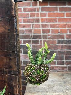 a hanging planter filled with green plants next to a brick wall