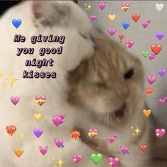 an orange and white cat laying on top of a bed with hearts all over it