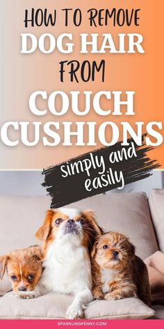 dogs on a couch - in is about how to remove dog hair from couch cushions Clean Fabric Couch, Cleaning Leather Couch, Dog Pee Smell, Dog Hair Cleaning, Dog Hair Removal, Smelly Dog, Microfiber Couch, Cleaning Pet Hair, Short Dog