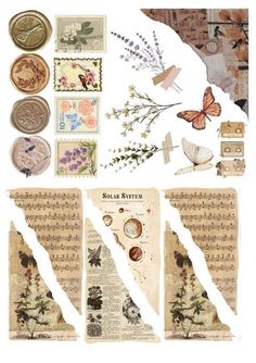 the collage is made up of old sheet music paper and various stamps with butterflies