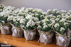 several bags filled with white flowers sitting on top of a wooden table