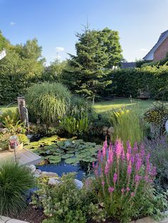 a garden with lots of plants and water lilies