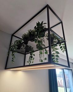 a hanging planter filled with green plants on top of a white wall next to a window