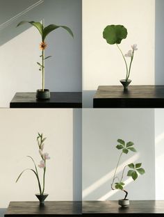 four different shots of flowers in vases