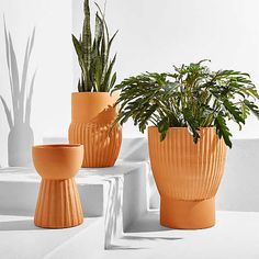 two orange planters sitting on top of white steps next to each other with plants in them