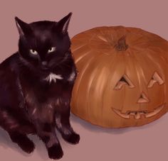 a black cat sitting next to a carved pumpkin