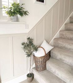 a basket sitting on the stairs next to a plant