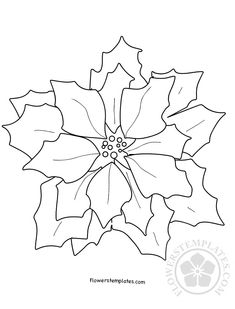 a christmas holly flower with leaves coloring page for adults and children to print out on