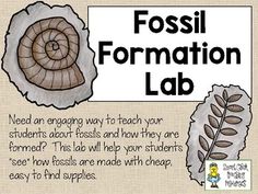 the fossil formation is shown with information about its life cycle and how to use it