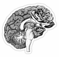 the side view of a human brain with a rose in it