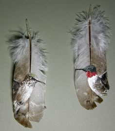 two feathers are hanging from hooks on the wall