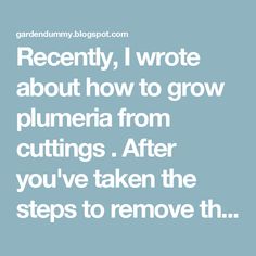 a quote that reads recently, i wrote about how to grow plumnia from cuttings after you've taken the steps to remove th