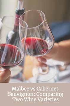 A glass of wine Red Wine Recipe, Malbec Wine, Cabernet Sauvignon Wine, Fruity Wine, Wine 101, Wine Expert