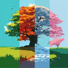 an image of four different colored trees in the same color scheme, each with their own tree