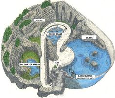 an image of a diagram of the brain with different parts labeled in it, including water and rocks