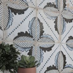 a potted plant sitting next to a tiled wall