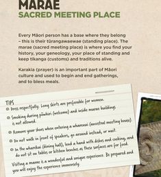 a piece of paper with an image of a bird on it and the words,'marae sacred meeting place '