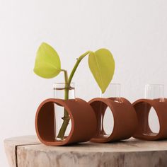 three vases with plants in them sitting on a wooden table next to each other