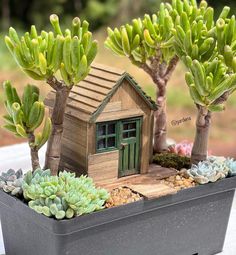 a small wooden house surrounded by succulents in a potted planter