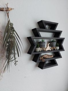 a black shelf with plants on it next to a potted plant and wall hanging