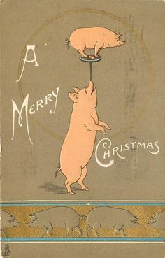 a merry christmas card with two pigs on top of each other and the words merry christmas above them