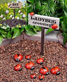 there are many ladybug figurines on the ground next to a sign that says ladybug crossing