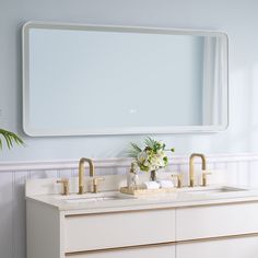 a bathroom vanity with two sinks and a large mirror above it, along with a potted plant