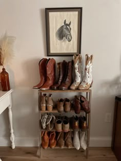 several pairs of shoes are sitting on a shelf in front of a framed horse head