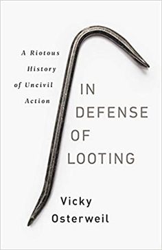 the book cover for in defense of looking by vicky osterweii