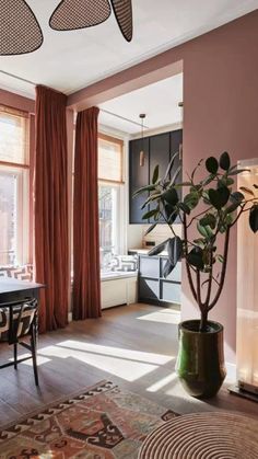 a living room filled with furniture and a large potted plant next to a window