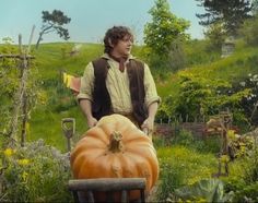 a man standing next to a pumpkin in a garden