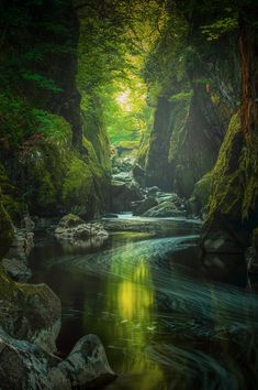 a stream flowing through a lush green forest filled with rocks and trees on either side