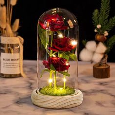 a glass dome with red flowers in it