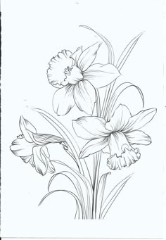 a drawing of some flowers on a white background