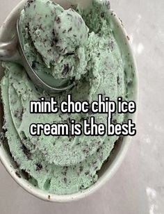 an ice cream bowl filled with mint chocolate chip ice cream is the best