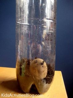 a glass jar filled with dirt sitting on top of a wooden table next to a blue wall